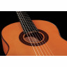 Фелипе Конде FP-14 Студия фламенко Felipe Conde FP-14 Flamenco Estudio