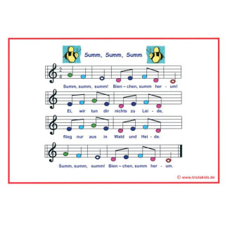 К.А. Сейдель Сене Триола 12 Набор №630219 C.A. Seydel Söhne Triola 12 Bundle №630219