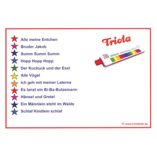 К.А. Сейдель Сене Триола 12 Набор №630219 C.A. Seydel Söhne Triola 12 Bundle №630219