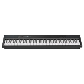 Tavmusic.ru SP-2000 Thomann SP-2000
