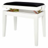 Цифровое пианино Thomann DP-95 WH Bundle №361791 (Комплект)