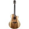 Breedlove Oregon Dreadnought Concerto Breedlove Oregon Dreadnought Concerto