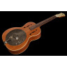 Recording King RR-41-BR Resonator Recording King RR-41-BR Resonator