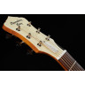 Recording King RR-41-BR Resonator Recording King RR-41-BR Resonator