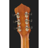 Recording King RR-41-BR Resonator Recording King RR-41-BR Resonator