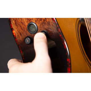 Breedlove Wildwood Pro Концертна CE Breedlove Wildwood Pro Concertina CE