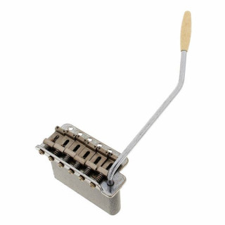 Gotoh GE-101TS Выдержанный винт. Тремоло C Gotoh GE-101TS Aged Vint. Tremolo C