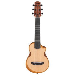 Акустическая гитара Ibanez AUP10N-OPN