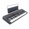 Casio CT-S1BK Casio CT-S1BK