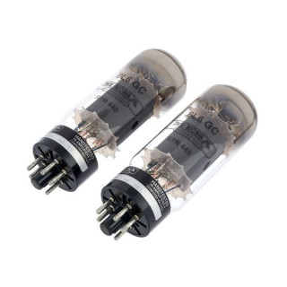 Mesa Boogie 6L6 STR445 Mesa Boogie 6L6 STR445