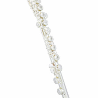 Флейта Yamaha YFL-282GL Flute Yamaha YFL-282GL Flute