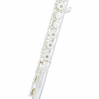 Флейта Yamaha YFL-282GL Flute Yamaha YFL-282GL Flute