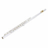 Флейта Yamaha YFL-282GL Flute Yamaha YFL-282GL Flute