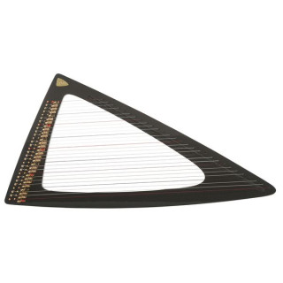 Сальви САЛДЕК-ESS Delta C Carbon Salvi SALDEC-ESS Delta C Carbon