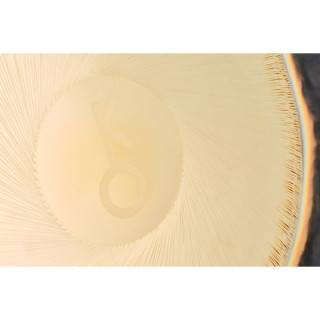 Аурiс Гонги 32"/80см Планетарный Гонг Хирон Auris Gongs 32"/80cm Planet Gong Chiron