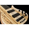 Бас-гитара Franz Bassguitars Sirius SC 5 Spalted Maple Top