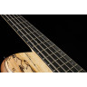 Бас-гитара Franz Bassguitars Sirius SC 5 Spalted Maple Top