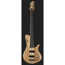 Бас-гитара Franz Bassguitars Sirius SC 5 Spalted Maple Top