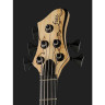 Бас-гитара Franz Bassguitars Sirius SC 5 Spalted Maple Top