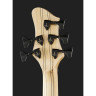 Бас-гитара Franz Bassguitars Sirius SC 5 Spalted Maple Top
