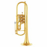 Schagerl Hans Gansch L 130 Bb- Труба Schagerl Hans Gansch L 130 Bb- Trumpet