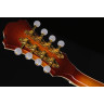 Мандолина Ibanez M700S-AVS