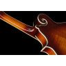 Мандолина Ibanez M700S-AVS