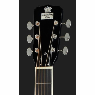 Резонаторная гитара Recording King RR-50VS Roundneck Recording King RR-50VS Roundneck