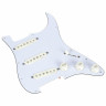 Набор Fishman Fluence Set PU с загрузкой PG WH Fishman Fluence Set PU loaded PG WH