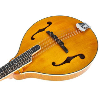 Мандолина Richwood RMA-110-VS A-Style