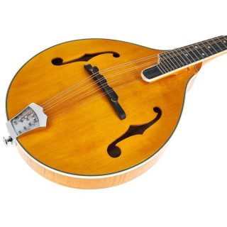 Мандолина Richwood RMA-110-VS A-Style