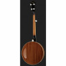 Банджо Ibanez B200 Ibanez B200