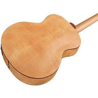 Клен Гильдии Джамбо Юниор Резервный Guild Jumbo Junior Reserve Maple