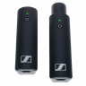 Радиосистема Sennheiser XSW-D Presentation Base Set