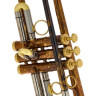 Труба Schagerl Thomann Bb-Trumpet