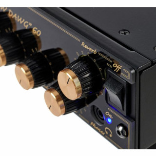 Голова усилителя для электрогитары DV Mark Raw Dawg 60 EG DV Mark Raw Dawg 60 EG