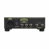Голова усилителя для электрогитары DV Mark Raw Dawg 60 EG DV Mark Raw Dawg 60 EG