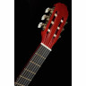 Startone CG 851 4/4 Startone CG 851 4/4
