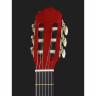 Startone CG 851 4/4 Startone CG 851 4/4