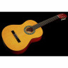 Startone CG 851 4/4 Startone CG 851 4/4