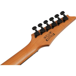 Иbanez GRGR221FA-TDK Ibanez GRGR221FA-TDK