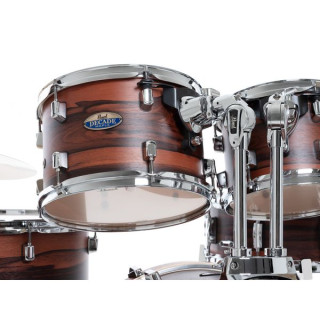 Жемчужина десятилетия М.Стандартная скорлупа грецкого ореха Pearl Decade M.StandardShells Walnut