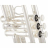Труба Yamaha YTR-4335 GSII Trumpet Yamaha YTR-4335 GSII Trumpet
