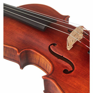 Стентор SR1876 Viola Elysia 15" Stentor SR1876 Viola Elysia 15''