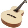 Серия Höfner Meister HM65-F-CE Höfner Meister Series HM65-F-CE