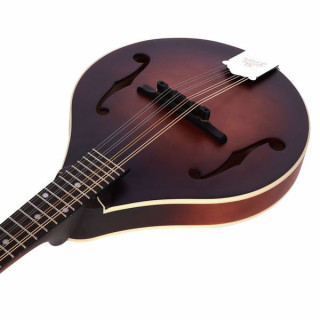 The Loar LM-110 Honey Creek BRB The Loar LM-110 Honey Creek BRB