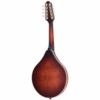 Мандолина The Loar LM-110 Honey Creek BRB