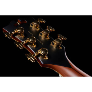 Полуакустическая гитара DAngelico Deluxe 59 Satin Brown Burst DAngelico Deluxe 59 Satin Brown Burst