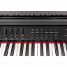 Цифровое пианино Hemingway DP-701 MKII BP