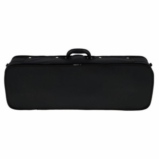 Roth & Junius RJVC Violin Case Allegro 4/4 Roth & Junius RJVC Violin Case Allegro 4/4